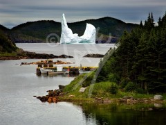 Whale Gulch